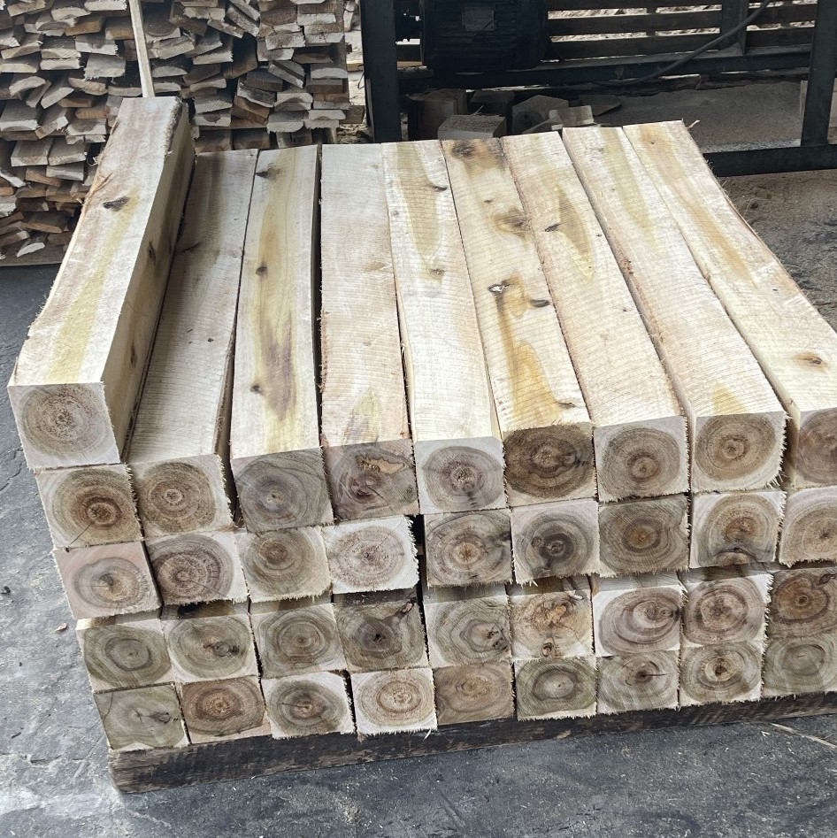 hun trùng gỗ kê chèn lót hàng hóa